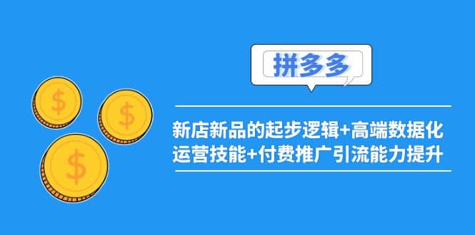 2022拼多多:新店新品的起步逻辑+高端数据化运营技能+付费推广引流能力提升-赛德副业库