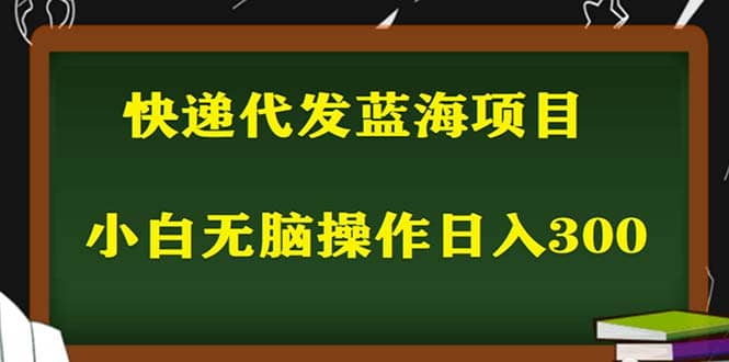 2023最新蓝海快递代发项目，小白零成本照抄-赛德副业库