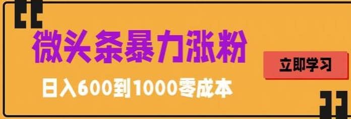 微头条暴力涨粉技巧搬运文案就能涨几万粉丝，简单0成本，日赚600-赛德副业库
