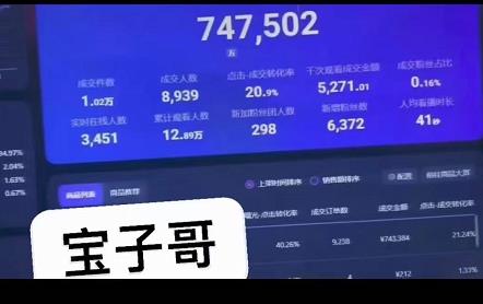 宝子哥无人直播，半无人直播，Obs+伴侣玩法，快速打标签+养鱼-赛德副业库