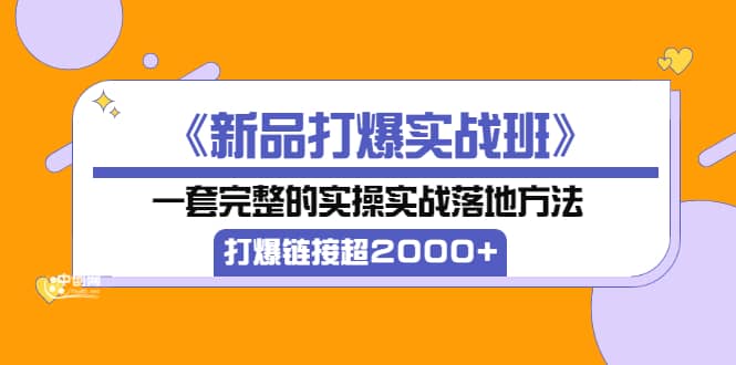 《新品打爆实战班》一套完整的实操实战落地方法,打爆链接超2000+(38节课)-赛德副业库