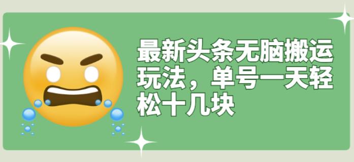 最新头条无脑搬运玩法，单号一天轻松十几块【视频教程+搬运软件】-赛德副业库