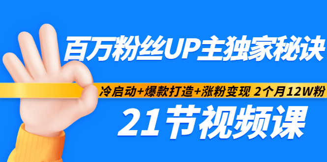 百万粉丝UP主独家秘诀：冷启动+爆款打造+涨粉变现2个月12W粉（21节视频课)-赛德副业库