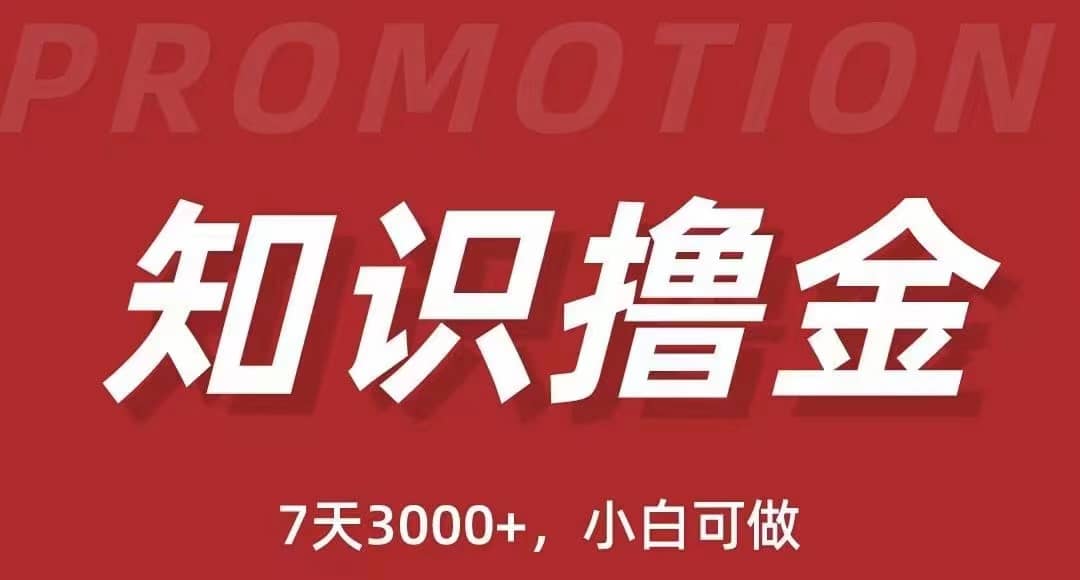 抖音知识撸金项目：执行力强当天见收益(教程+资料)-赛德副业库
