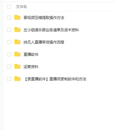 左小姐-直播带货俱乐部十三行、无人直播，全套教程附：工具、文档、话术资料-赛德副业库