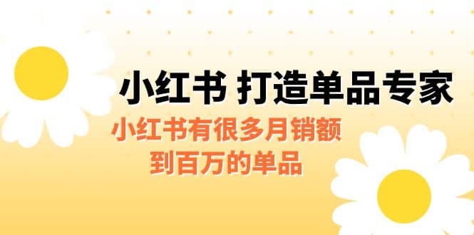 某公众号付费文章《小红书 打造单品专家》小红书有很多月销额到百万的单品-赛德副业库