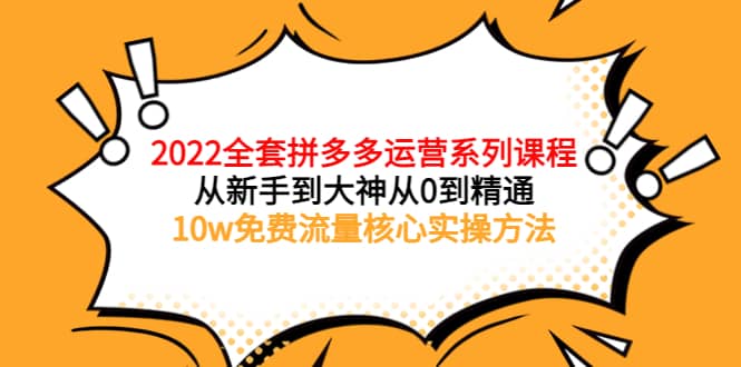 2022全套拼多多运营课程，从新手到大神从0到精通，10w免费流量核心实操方法-赛德副业库