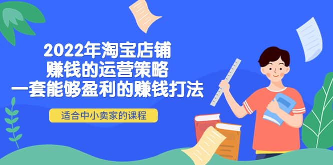 2022年淘宝店铺赚钱的运营策略：一套能够盈利的赚钱打法，适合中小卖家-赛德副业库