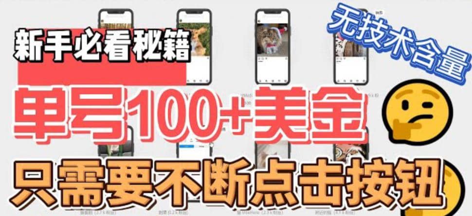 最新无脑只需不断点击按钮，单号100美金暴利项目，可批量操作-赛德副业库