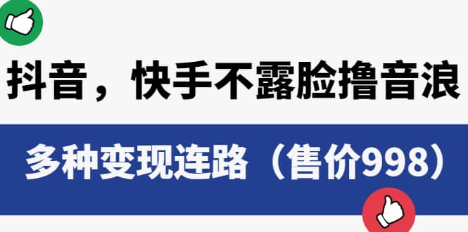 抖音，快手不露脸撸音浪项目，多种变现连路（售价998）-赛德副业库