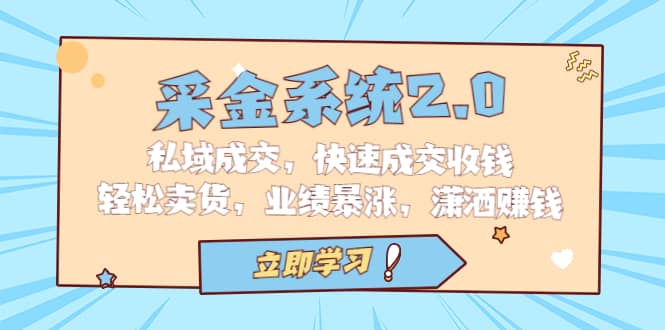 采金 系统2.0,私域成交,快速成交收钱,轻松卖货,业绩暴涨,潇洒赚钱-赛德副业库