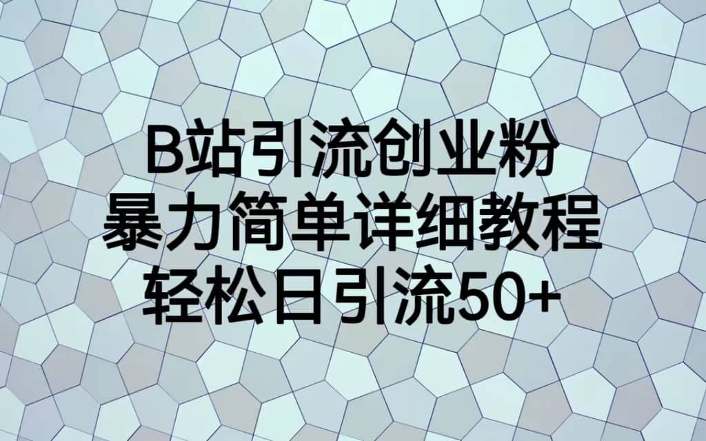 B站引流创业粉，暴力简单详细教程，轻松日引流50+-赛德副业库