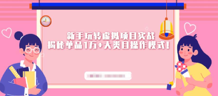 新手玩转虚拟项目实战，揭秘单品1万+大类目操作模式【视频课程】-赛德副业库