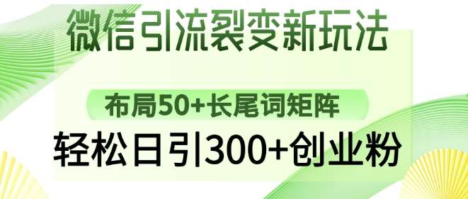 微信引流裂变新玩法:布局50+长尾词矩阵,轻松日引300+创业粉-赛德副业库