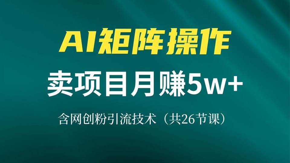 （13335期）网创IP打造课，借助AI卖项目月赚5万+，含引流技术（共26节课）-赛德副业库