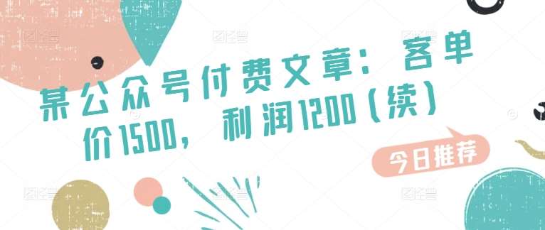 某公众号付费文章：客单价1500，利润1200(续)，市场几乎可以说是空白的-赛德副业库