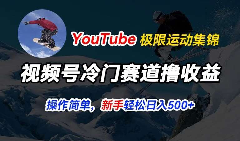 视频号冷门赛道撸收益，YouTube搬运极限运动集锦，暴力起号，操作简单流量高，轻松日入5张【揭秘】-赛德副业库