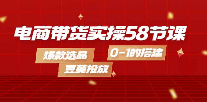 电商带货实操58节课,爆款选品,豆荚投放,0-1的搭建-赛德副业库