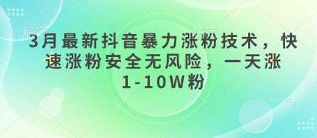 3月最新抖音暴力涨粉技术，快速涨粉安全无风险，一天涨1-10W粉-赛德副业库
