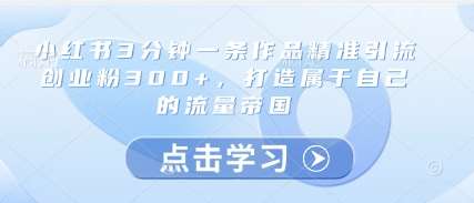 小红书3分钟一条作品精准引流创业粉300+，打造属于自己的流量帝国-赛德副业库