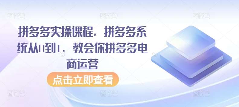 拼多多实操课程，拼多多系统从0到1，教会你拼多多电商运营-赛德副业库