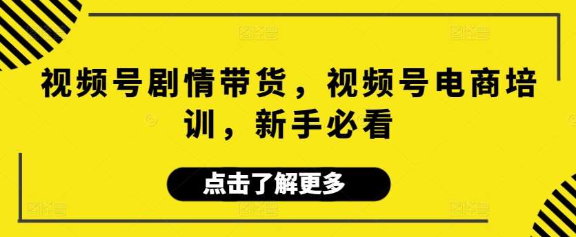 视频号剧情带货，视频号电商培训，新手必看-赛德副业库
