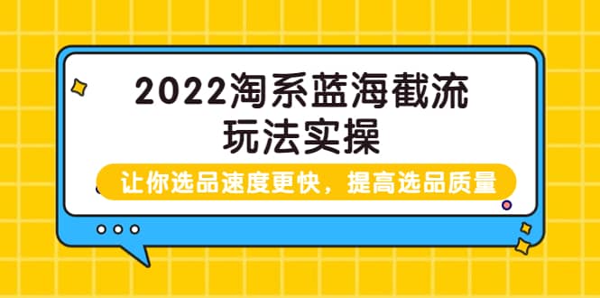 2022淘系蓝海截流玩法实操：让你选品速度更快，提高选品质量（价值599）-赛德副业库