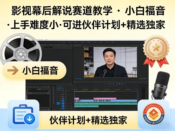 某大佬的影视幕后解说赛道教学，小白福音，上手难度小，可进伙伴计划+精选独家-赛德副业库
