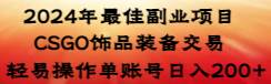 （8941期）2024年最佳副业项目 CSGO饰品装备交易 轻易操作单账号日入200+-赛德副业库