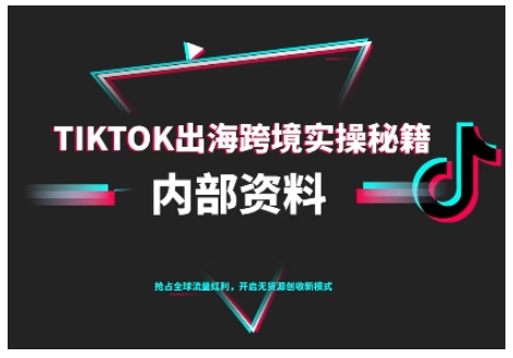 TikTok跨境电商0-1搭建运营，TK出海跨境实操秘籍（10月更新）-赛德副业库