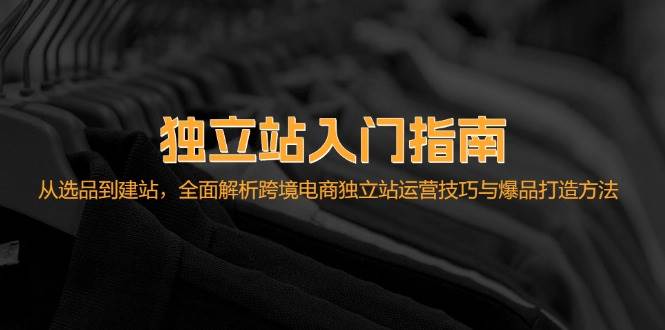 (12882期)独立站入门指南:从选品到建站,全面解析跨境电商独立站运营技巧与爆品...-赛德副业库
