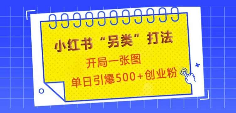小红书“另类”打法，开局一张图，单日引爆500+精准创业粉【揭秘】-赛德副业库