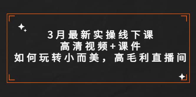 3月最新实操线下课高清视频+课件,如何玩转小而美,高毛利直播间-赛德副业库
