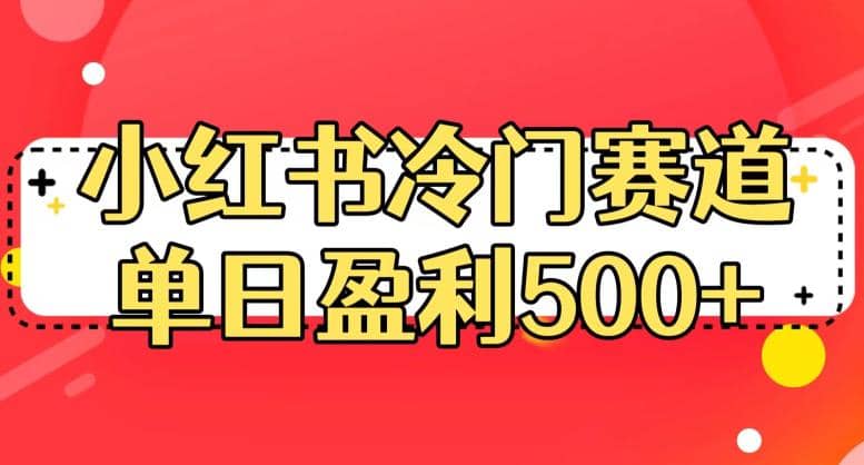 小红书冷门赛道，单日盈利500+【揭秘】-赛德副业库