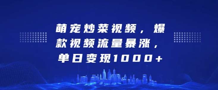 萌宠炒菜视频，爆款视频流量暴涨，单日变现1k-赛德副业库