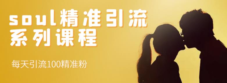 soul精准引流系列课程，每天引流100精准粉-赛德副业库