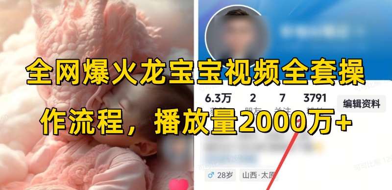 全网爆火龙宝宝视频全套操作流程，播放量2000万+-赛德副业库