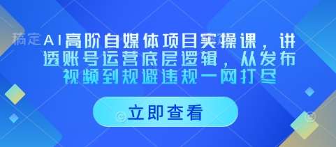 AI高阶自媒体项目实操课，讲透账号运营底层逻辑，从发布视频到规避违规一网打尽-赛德副业库