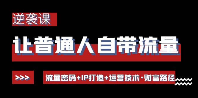 让普通人自带流量的逆袭课：流量密码+IP打造+运营技术·财富路径-赛德副业库