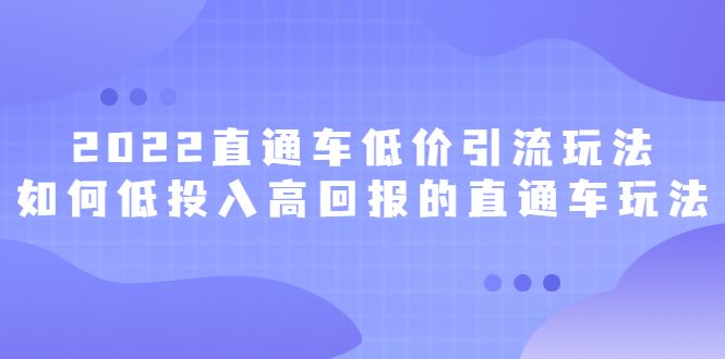 2022直通车低价引流玩法，教大家如何低投入高回报的直通车玩法-赛德副业库