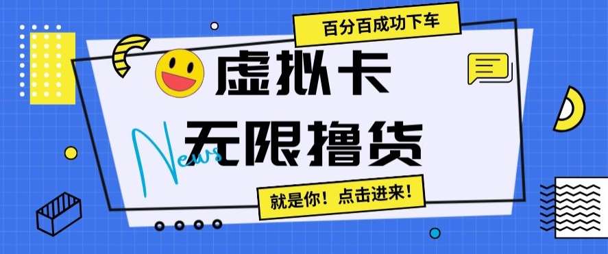 虚拟卡无限撸货，百分百成功下车【仅揭秘】-赛德副业库