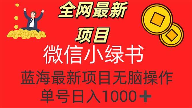 （12163期）全网最新项目，微信小绿书，做第一批吃肉的人，一天十几分钟，无脑单号…-赛德副业库