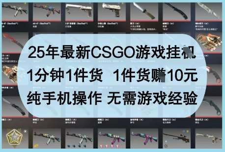 25年最新CSGO游戏挂G，1分钟1件货，1件货挣10元，纯手机操作，无需游戏经验【揭秘】-赛德副业库