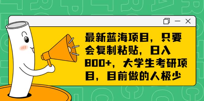 最新蓝海项目,只要会复制粘贴,日入800+,大学生考研项目,目前做的人极少-赛德副业库