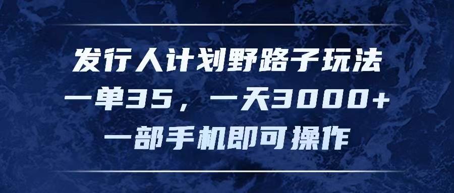 （11750期）发行人计划野路子玩法，一单35，一天3000+，一部手机即可操作-赛德副业库