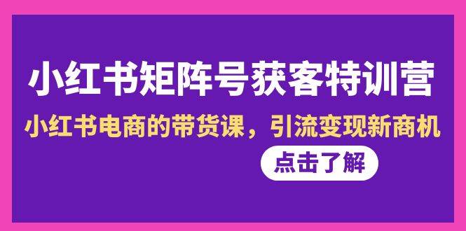 （8909期）小红书-矩阵号获客特训营-第10期，小红书电商的带货课，引流变现新商机-赛德副业库