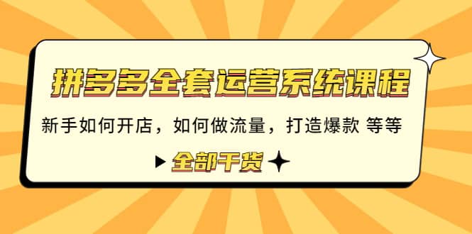 拼多多全套运营系统课程：新手如何开店 如何做流量 打造爆款 等等 全部干货-赛德副业库