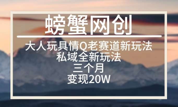 大人玩具情Q用品赛道私域全新玩法，三个月变现20W，老项目新思路【揭秘】-赛德副业库