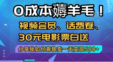 0成本薅羊毛!视频会员、话费卷、30元电影票白送,分享我如何靠转卖一天变现5张+【揭秘】-赛德副业库