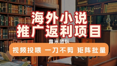 海外小说推广返利项目,视频投喂, 一刀不剪,矩阵批量-赛德副业库